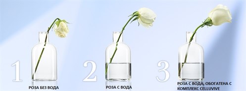 AVON тест с роза